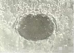 水性無機(jī)富鋅底漆的反應(yīng)機(jī)理示意圖